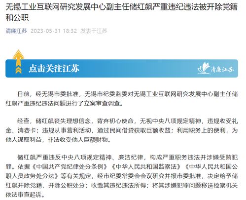 江苏无锡工业互联网研究发展中心副主任储红飙被 双开