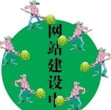 无锡网站维护 模板网站设计图片|无锡网站维护 模板网站设计产品图片由无锡众鼎软件科技公司生产提供-